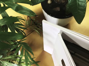 成都百鉑文化 專業(yè)畫冊制作與產(chǎn)品宣傳冊定做服務(wù)